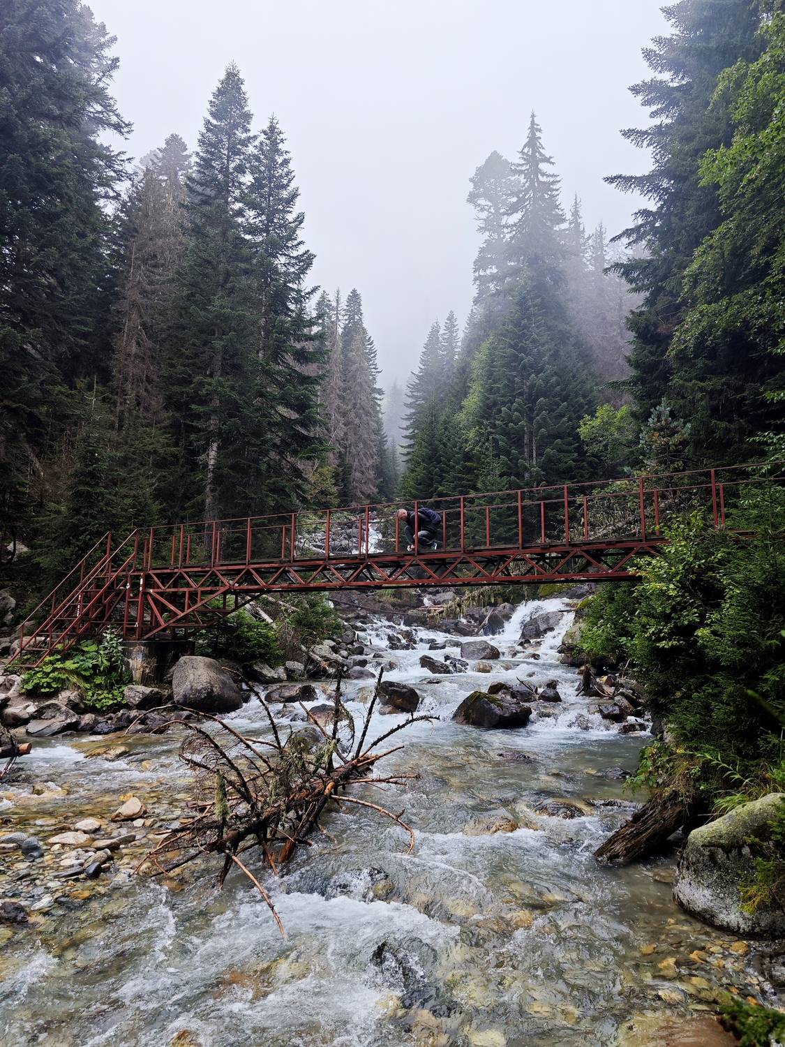 Photo #13285929
