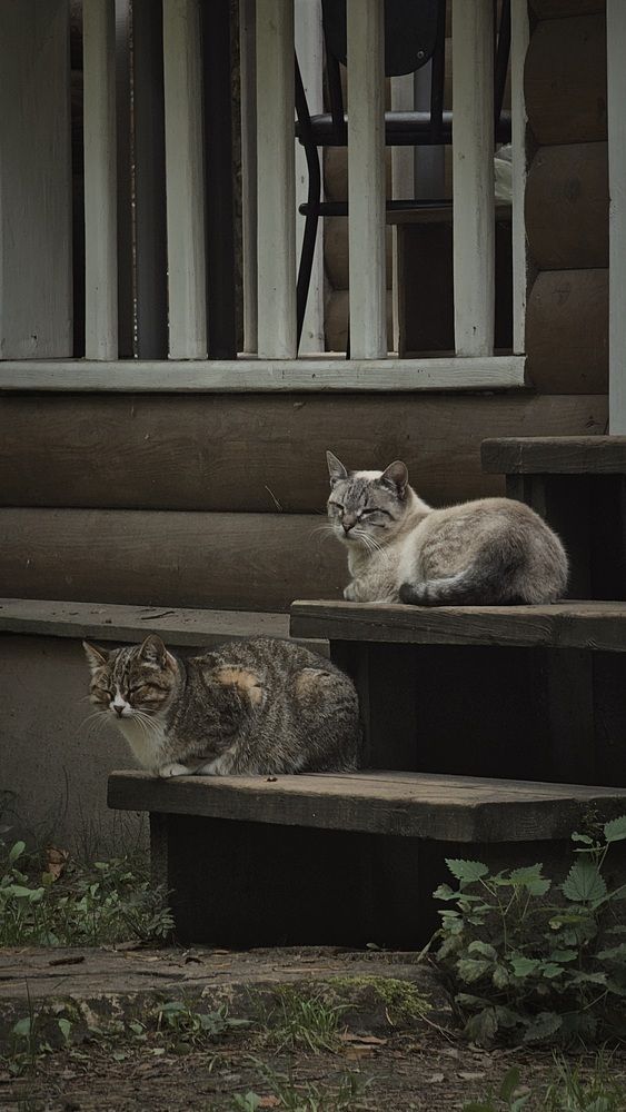 Photograph by Степан Макрушин