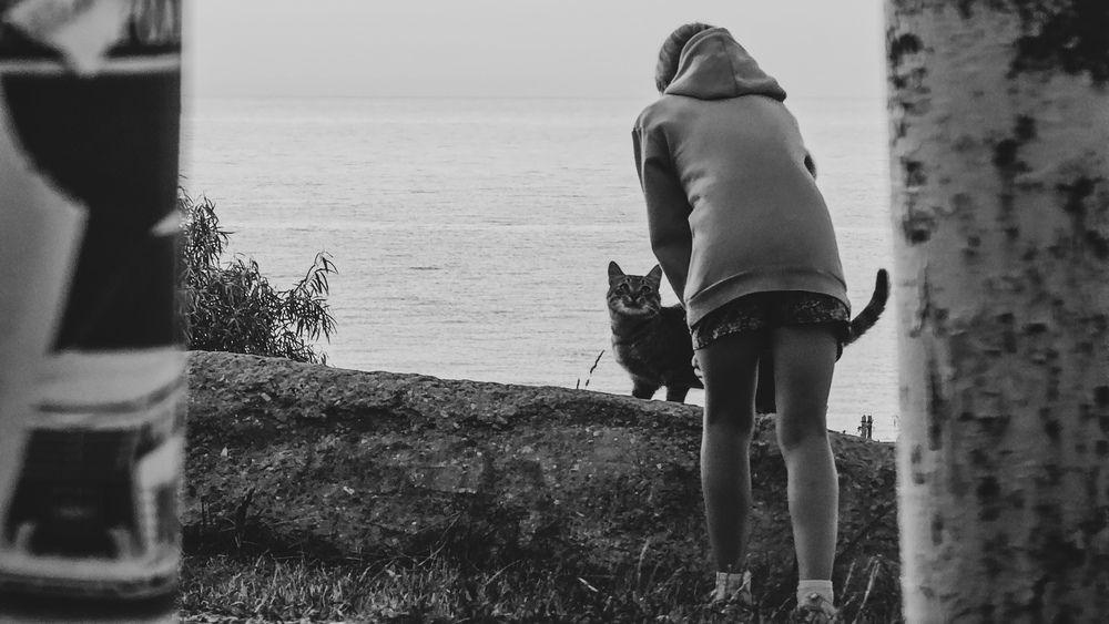 Photograph by Степан Макрушин