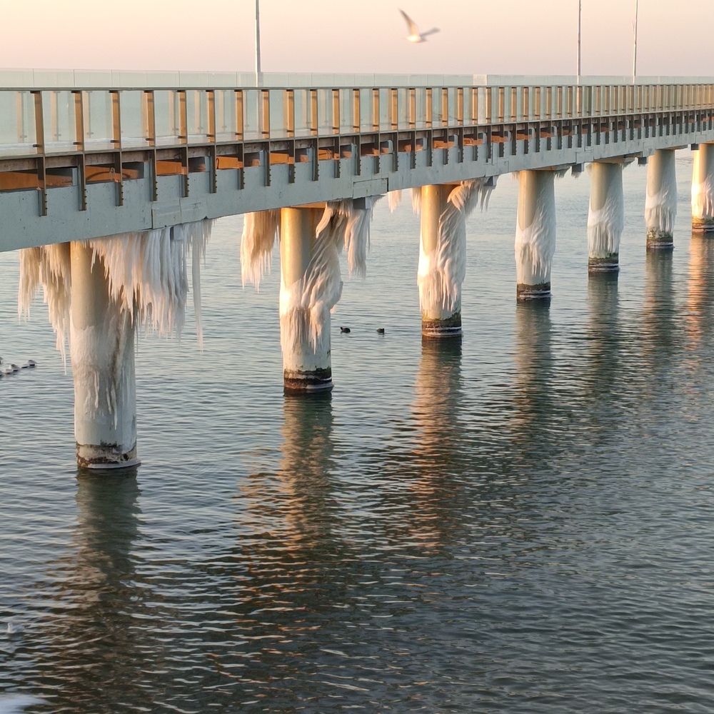 Photograph by Ирина Шведчикова