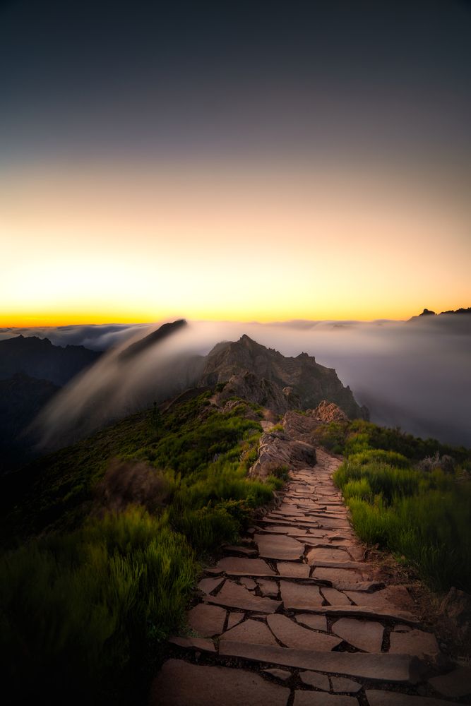Photograph by Bjoern Hohler