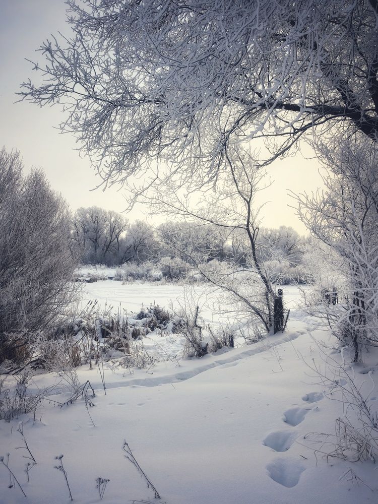 Photograph by Анна Якубинас