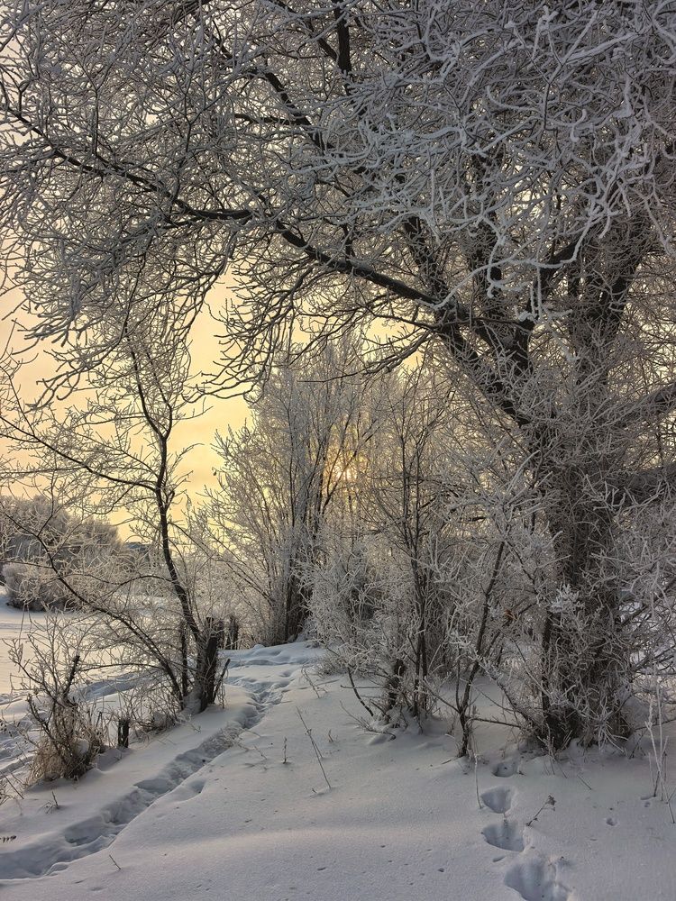 Photograph by Анна Якубинас