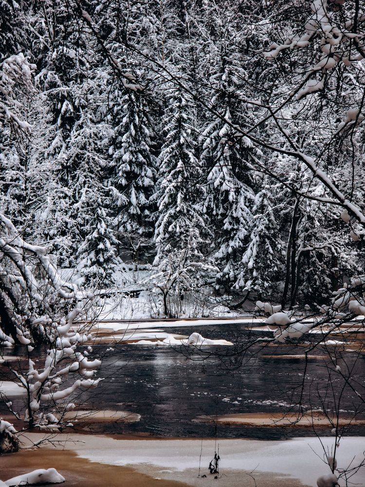 Фотография автора Анна Ворончихина