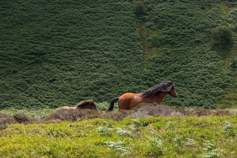 Photograph by Alexander Pakhomov