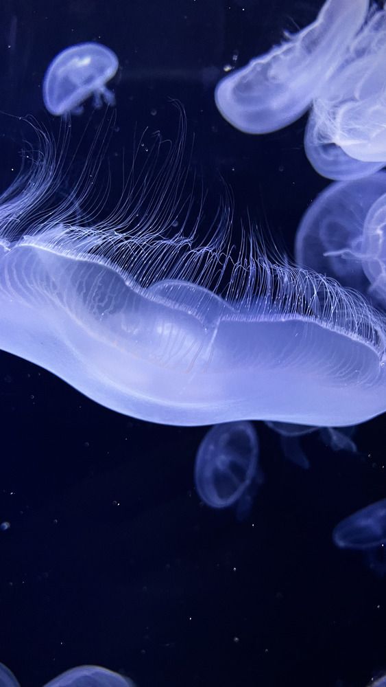 Photograph by Евгений Сидоров