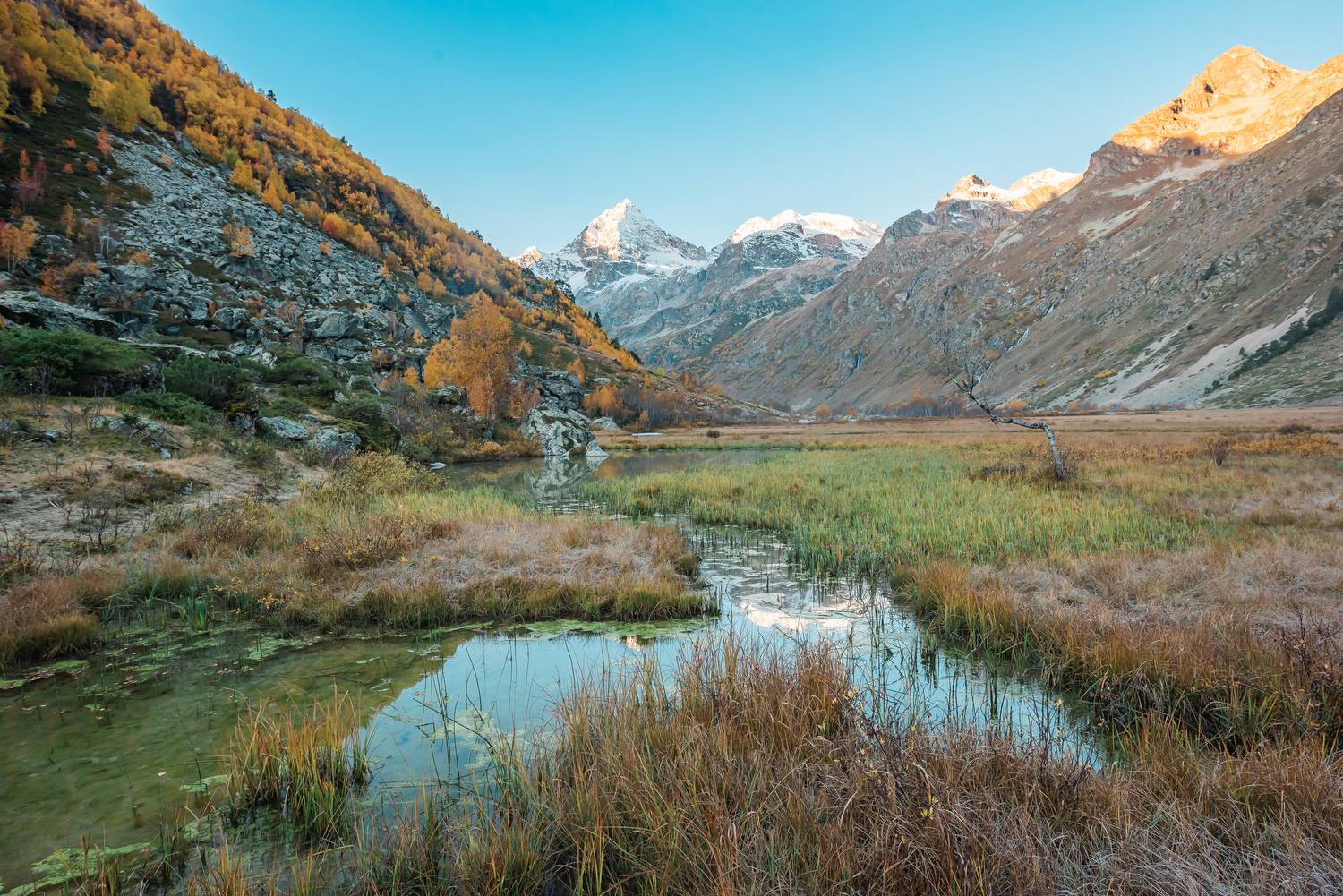 Фотография #13286239