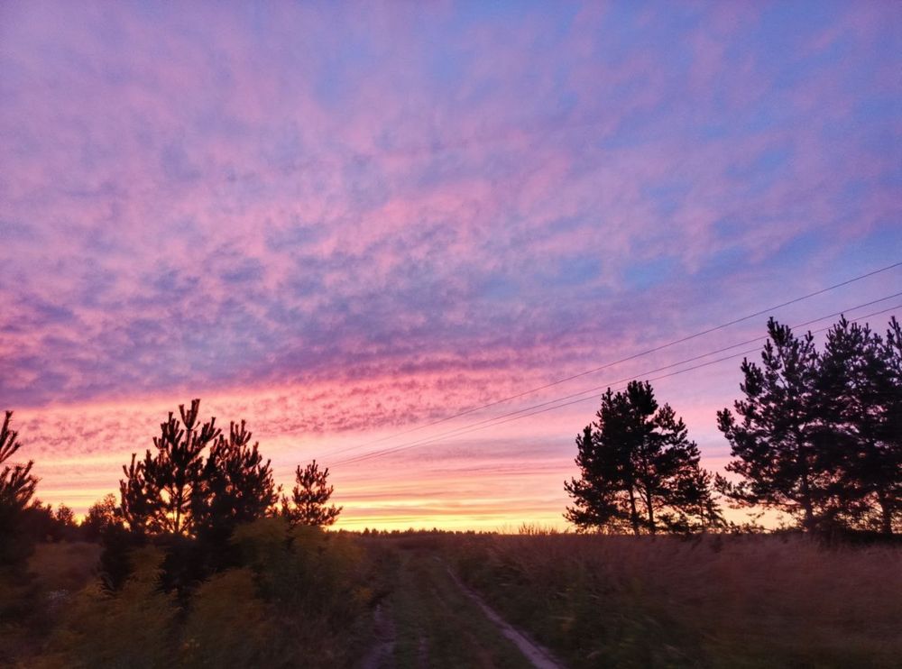 Photograph by Елена Кузина