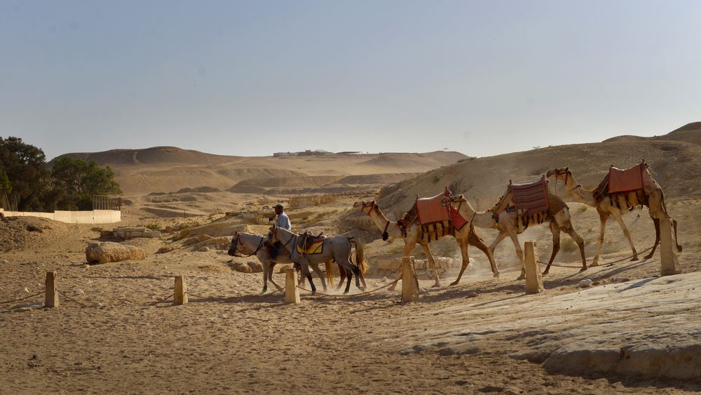 Photograph by Оксана Плугатарева