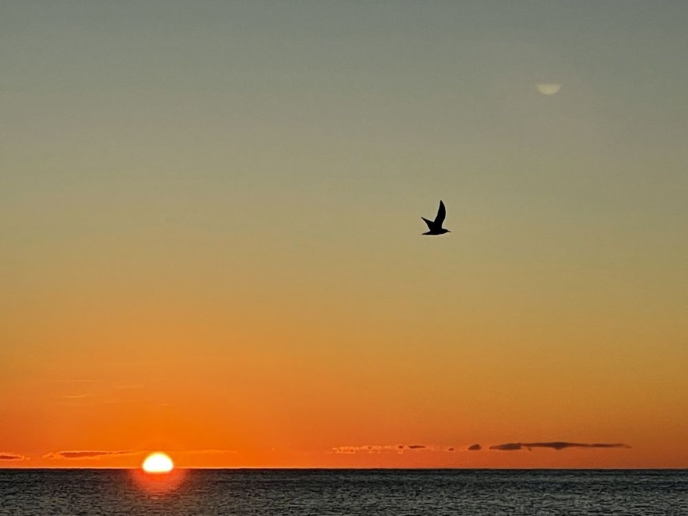 Photograph by Токарева Татьяна