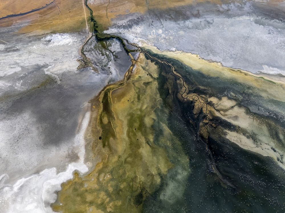 Where Waters Divide