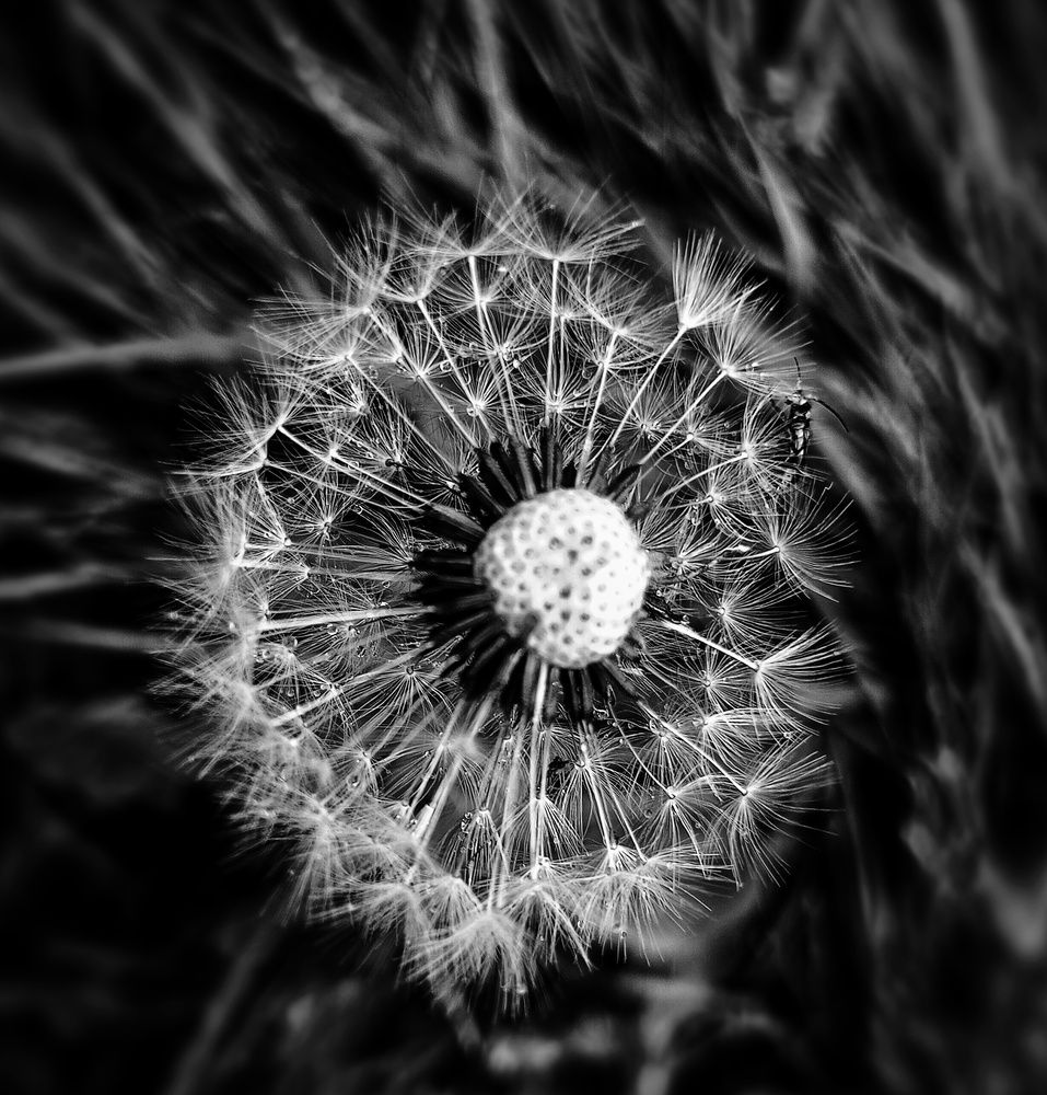 Photograph by Людмила М