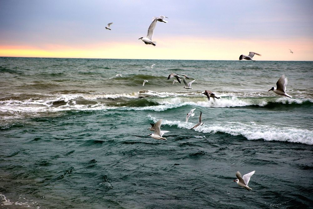 Photograph by ОЛЬГА БУЛЫЧЕВА