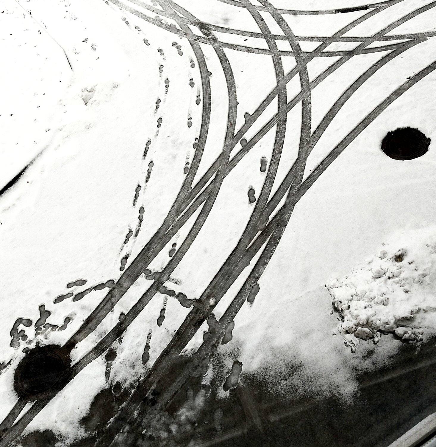 Photo #13286506