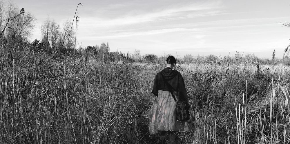 Photo #13286507