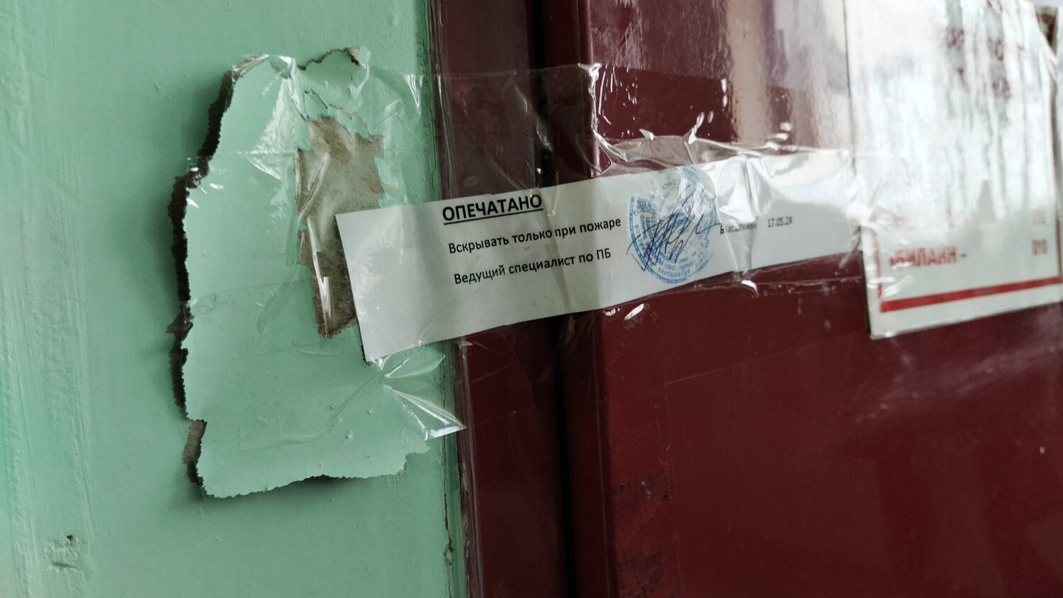 Photo #13286509