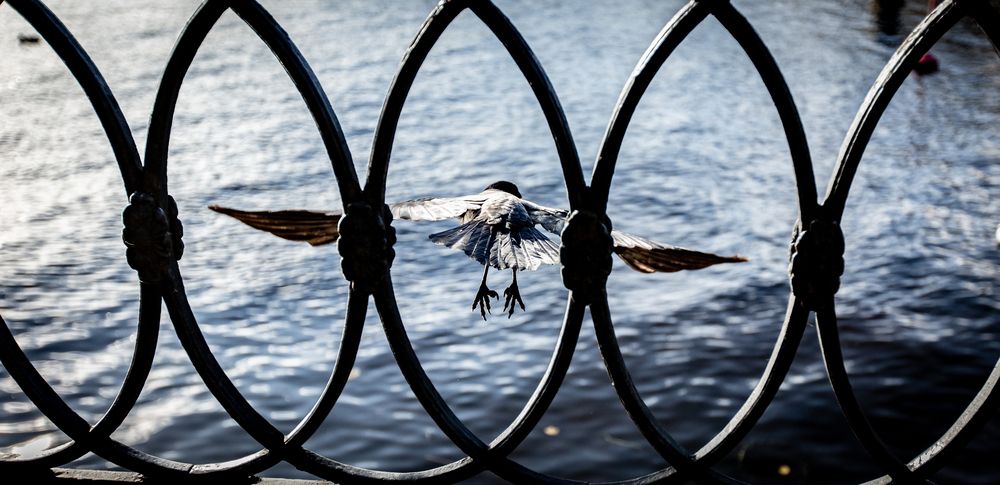 Photograph by Александр Ермоленко