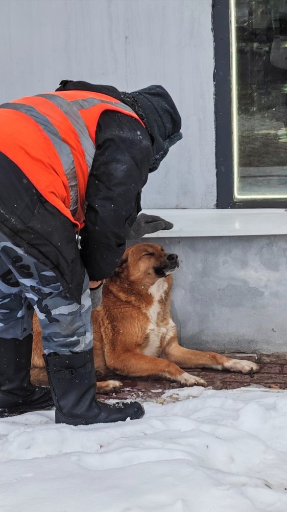 Фотография автора Наталья