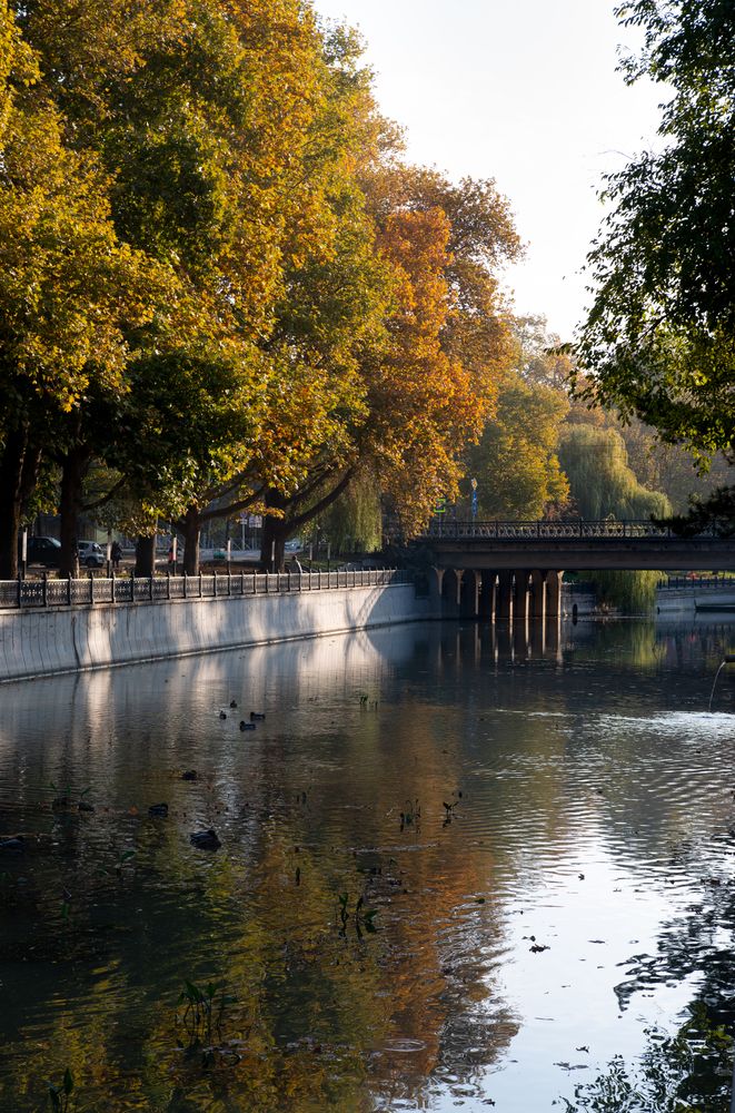 Photograph by Kirill Vladykin