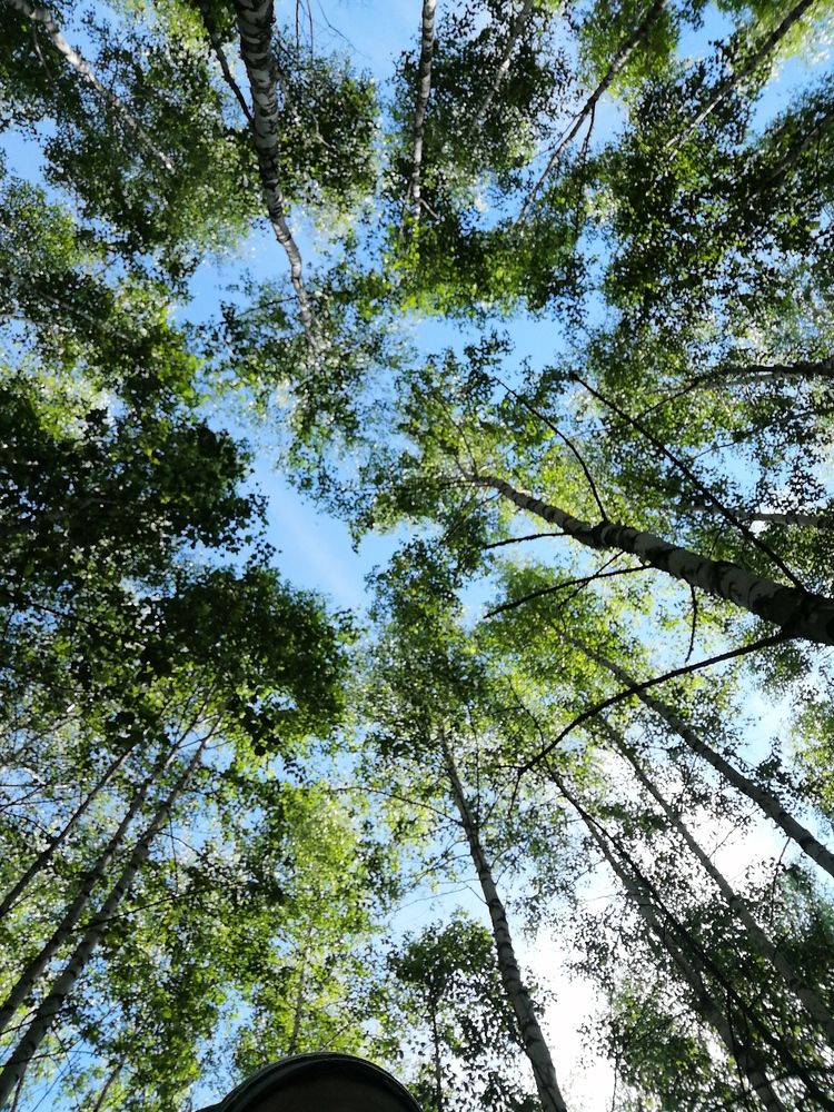 Photograph by Алена Храмец