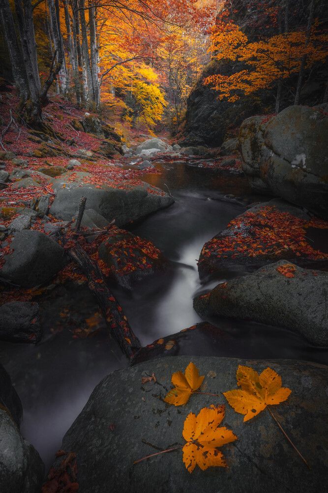 Photograph by Mariyana Atanasova - Lucero