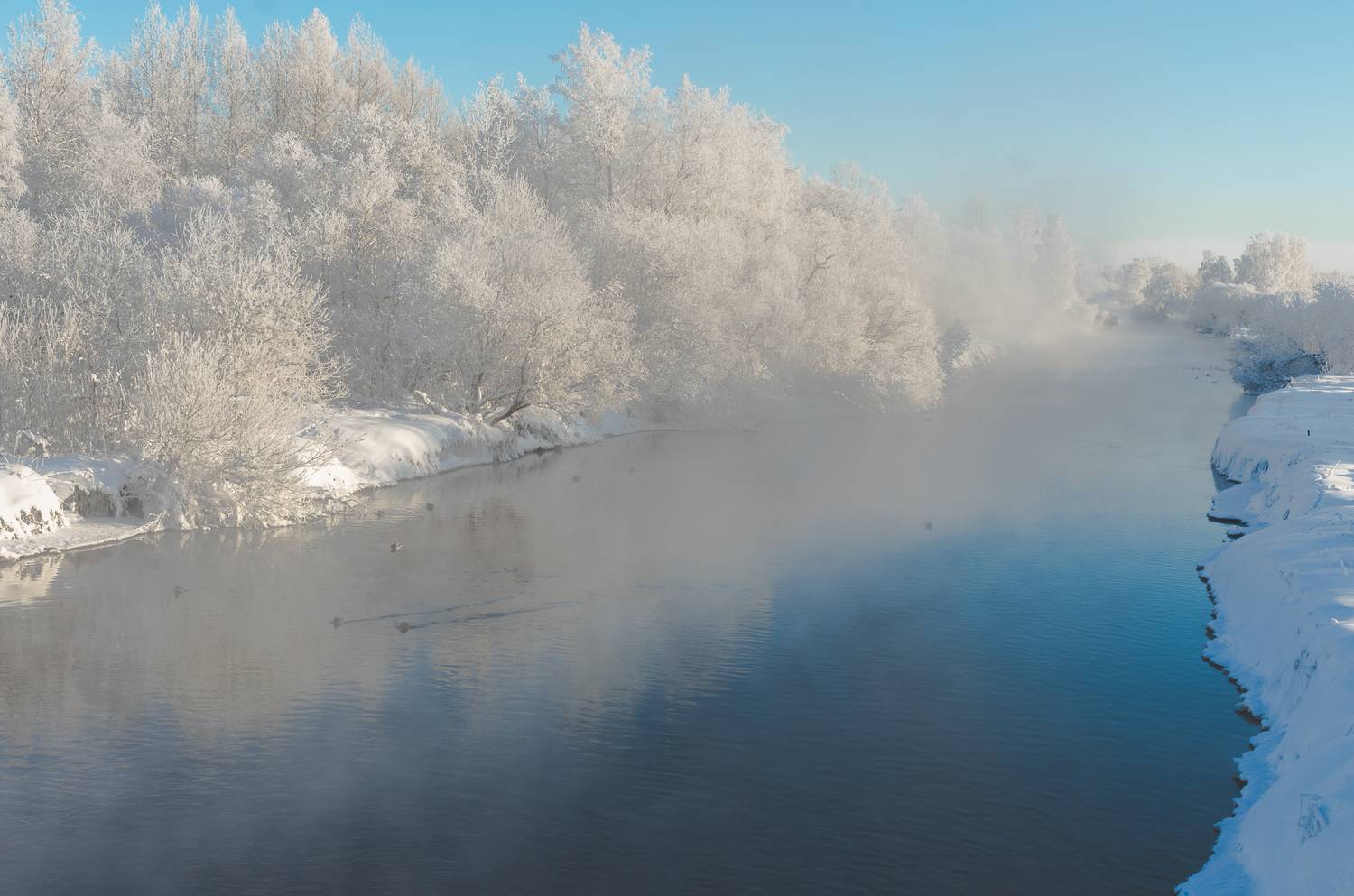 Photo #13286632