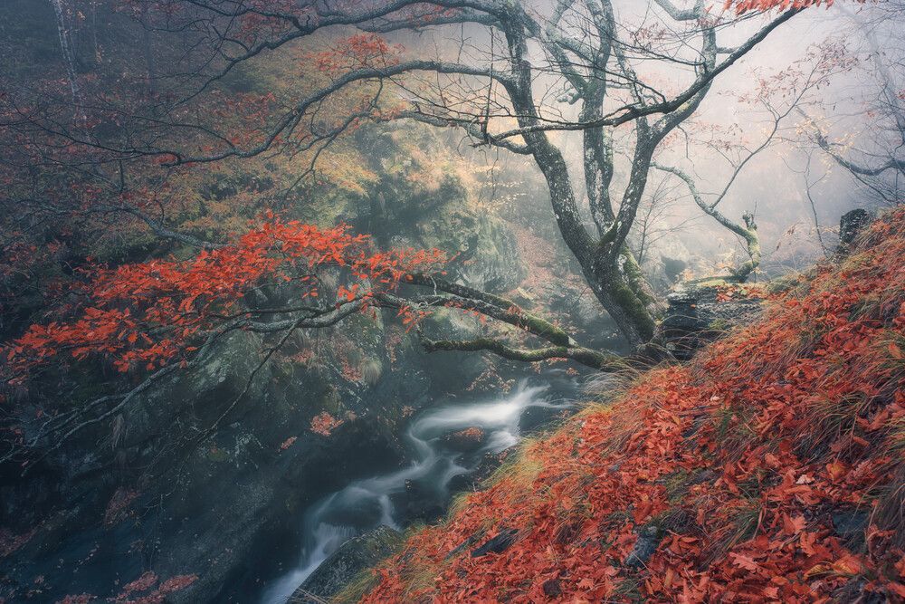 Photograph by Mariyana Atanasova - Lucero