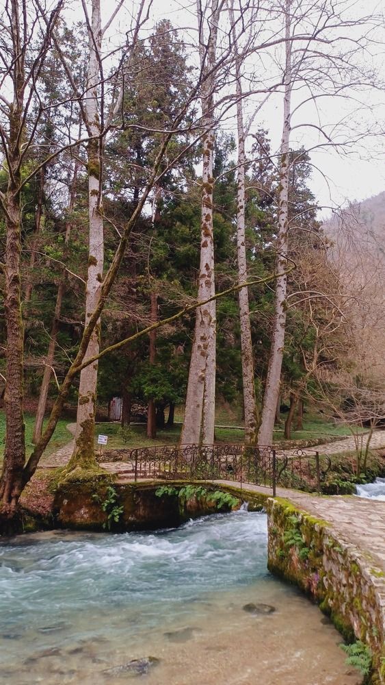 Photograph by Александра Ельникова