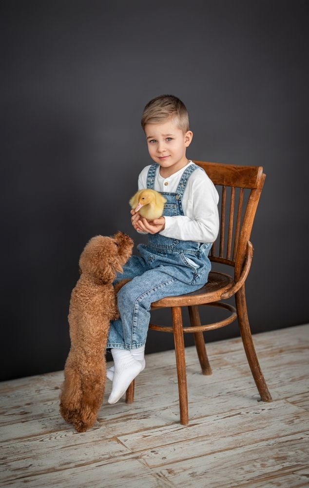 Фотография автора  Аксинья