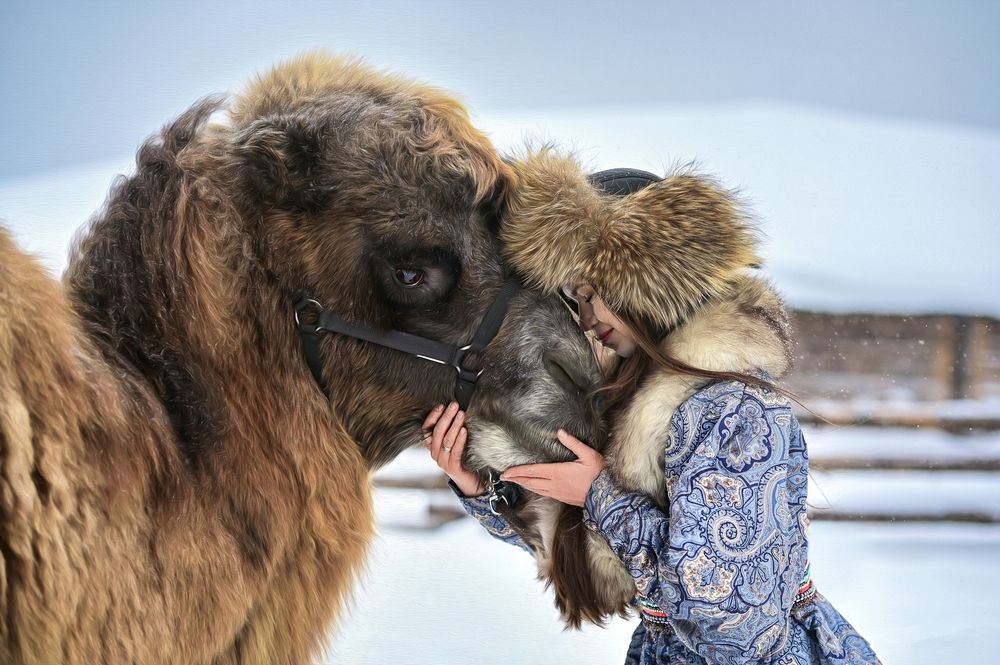 Фотография автора  Аксинья