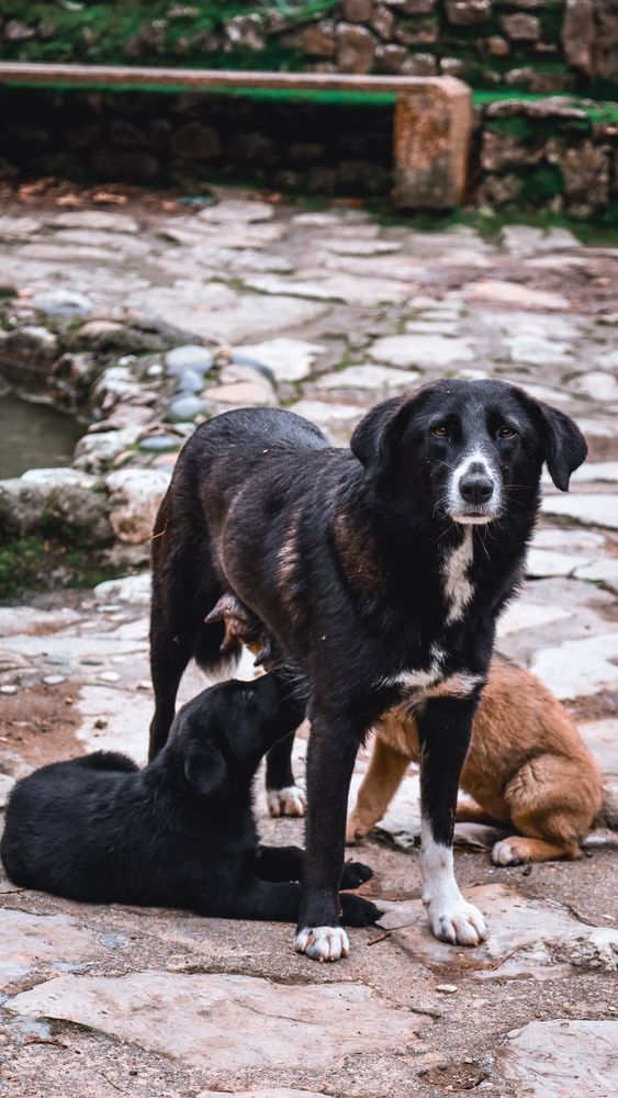 Photograph by Александра Ельникова