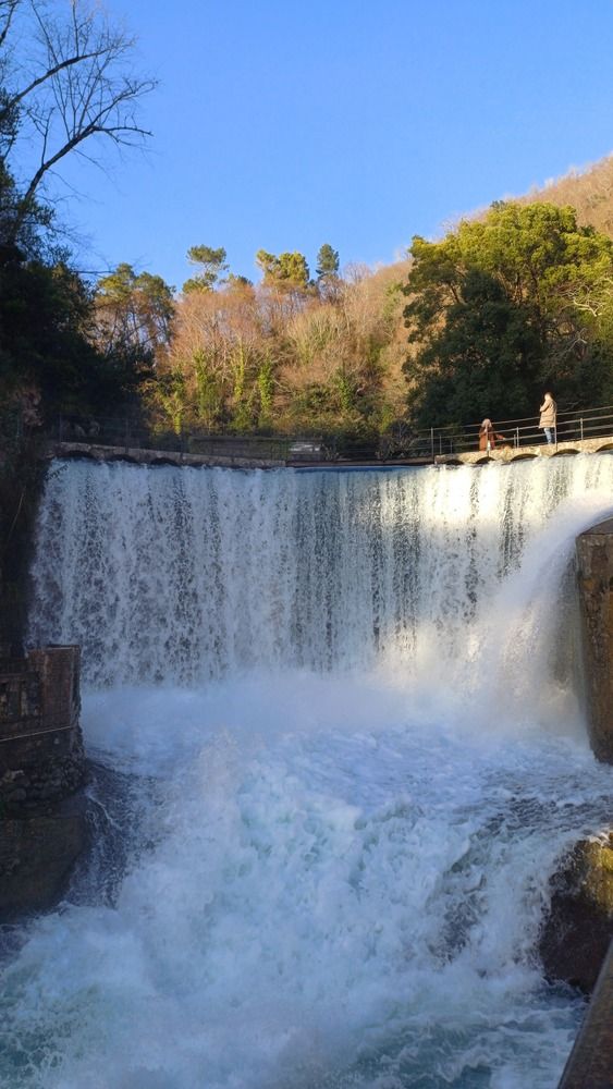 Photograph by Александра Ельникова