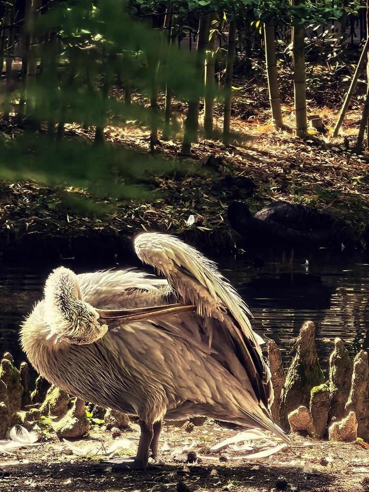 Photograph by Татьяна Винокурова