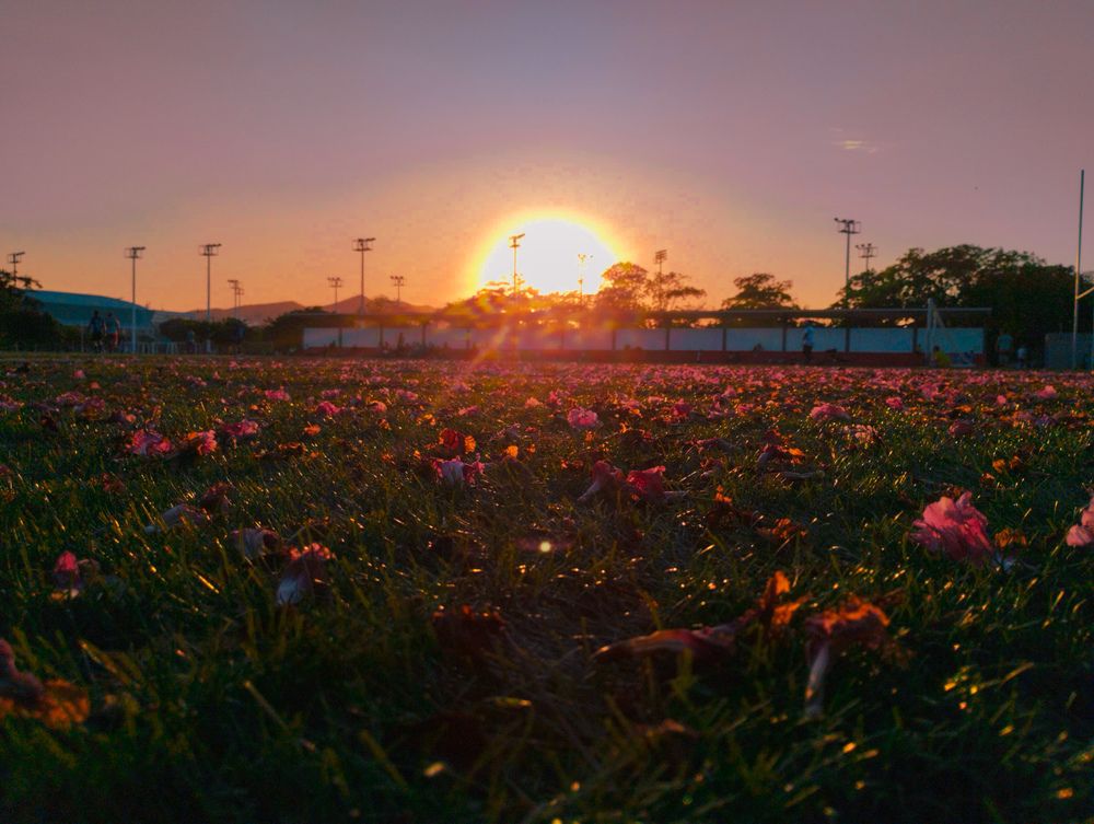Photograph by Black Cloud