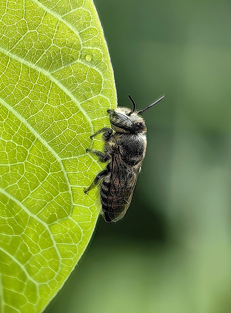 Photograph by Кристина Феминова