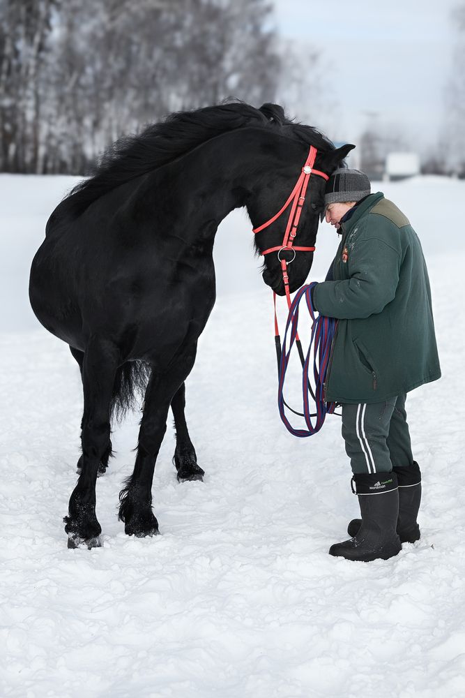 Photograph by наталья залогина