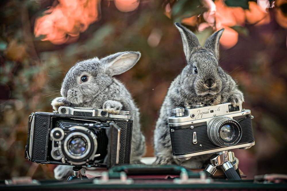 Фотография автора Лупина Михаил