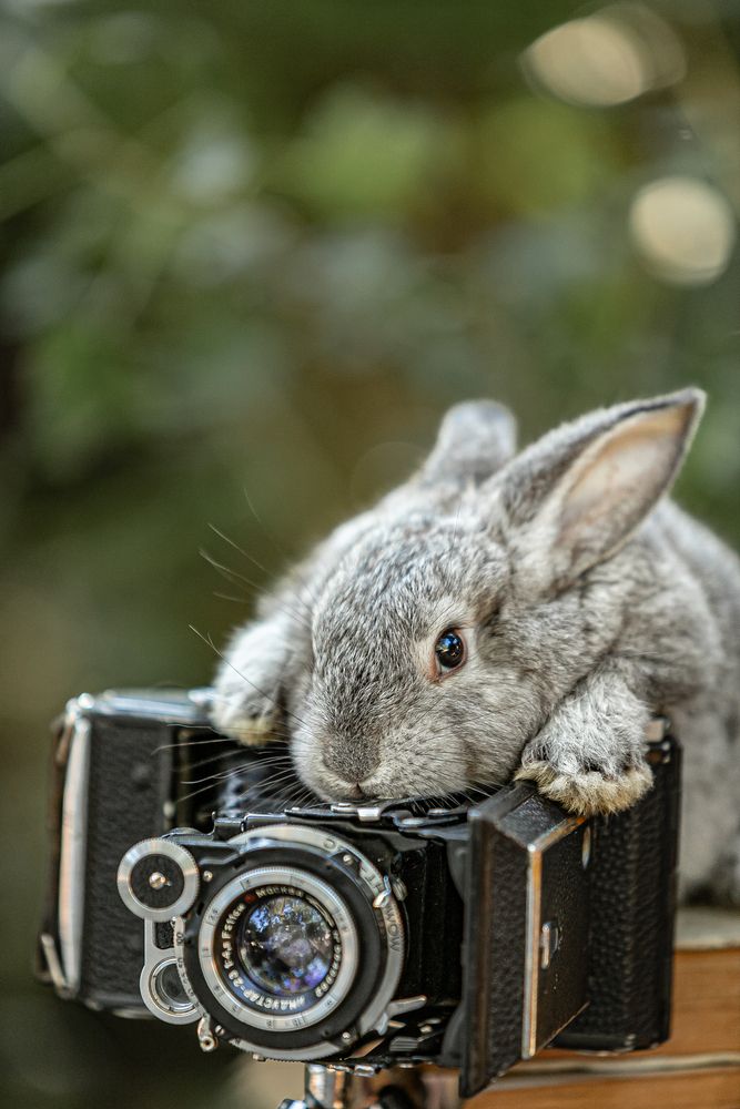 Фотография автора Лупина Михаил