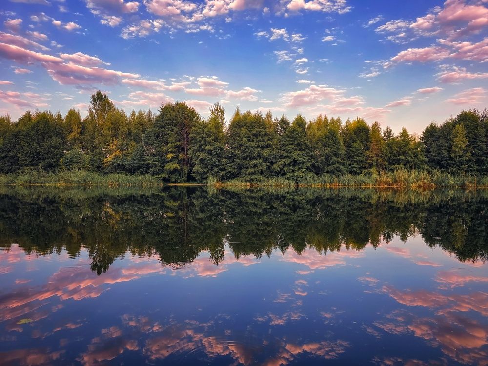 Завтра осень