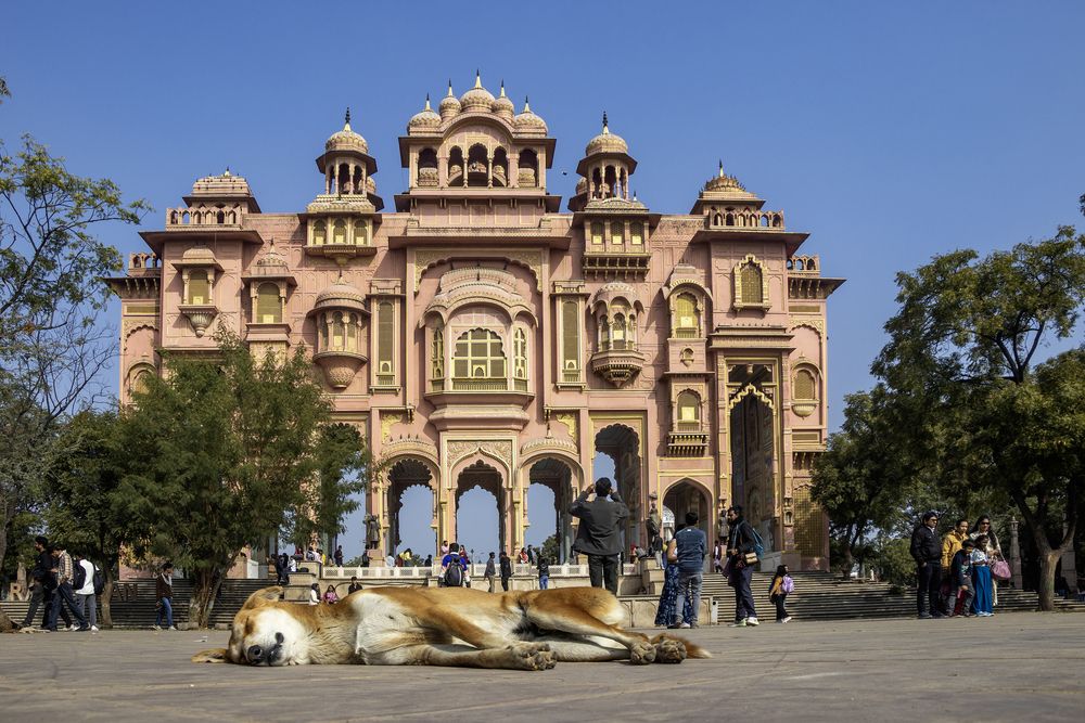 Photograph by Suguresh Sultanpur