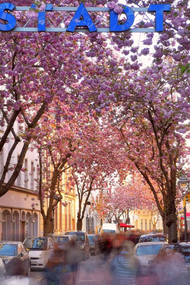 Фотография автора Ketov Vladimir