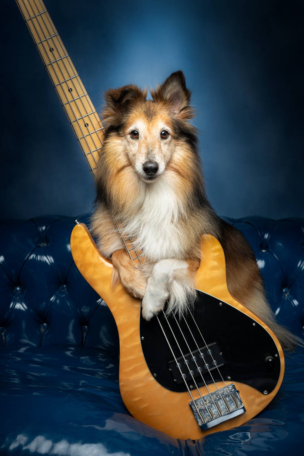 BASS DOG!