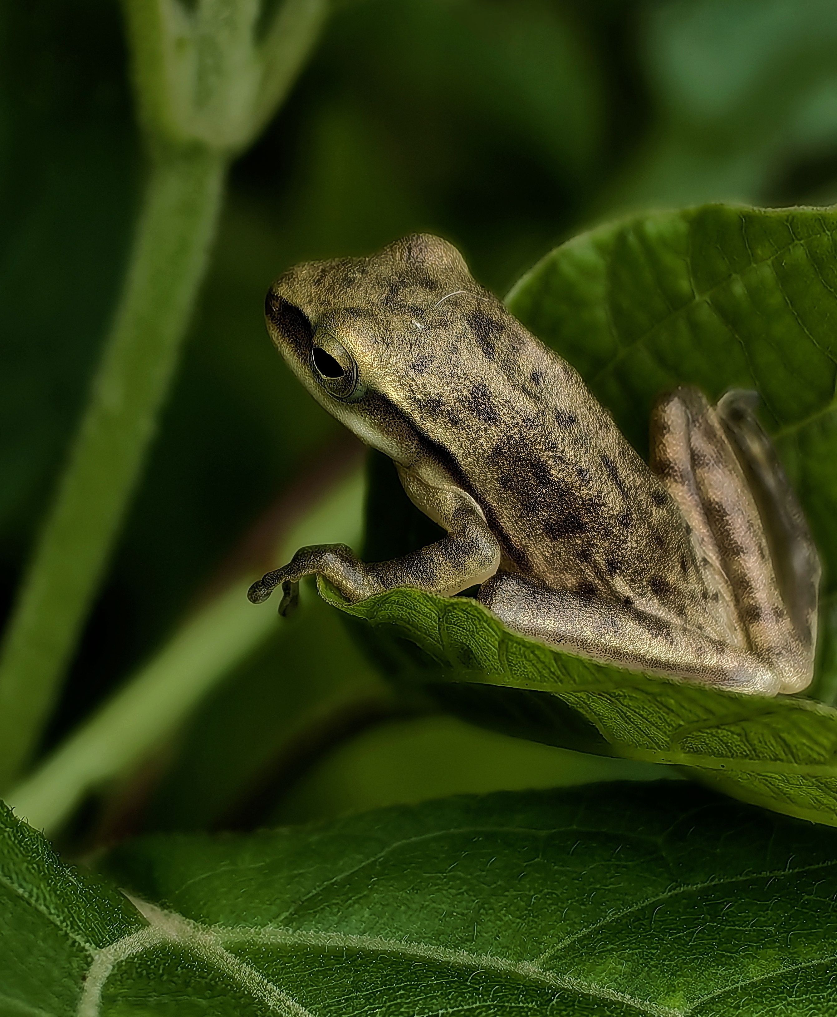 Photograph by Кристина Феминова