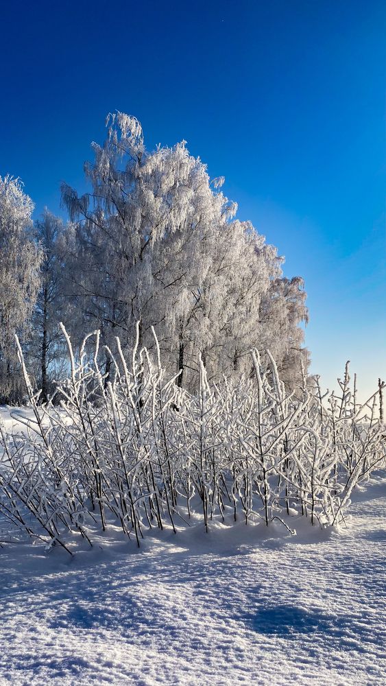 Photograph by Руслана Ковалевская