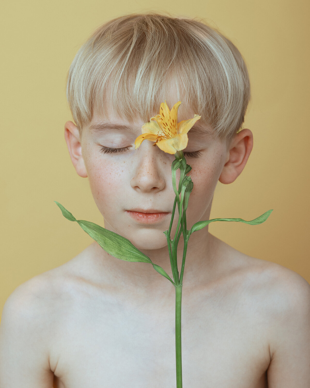 Yellow Flower