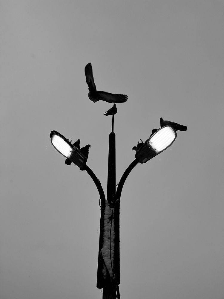 Photograph by Екатерина Сбитякова