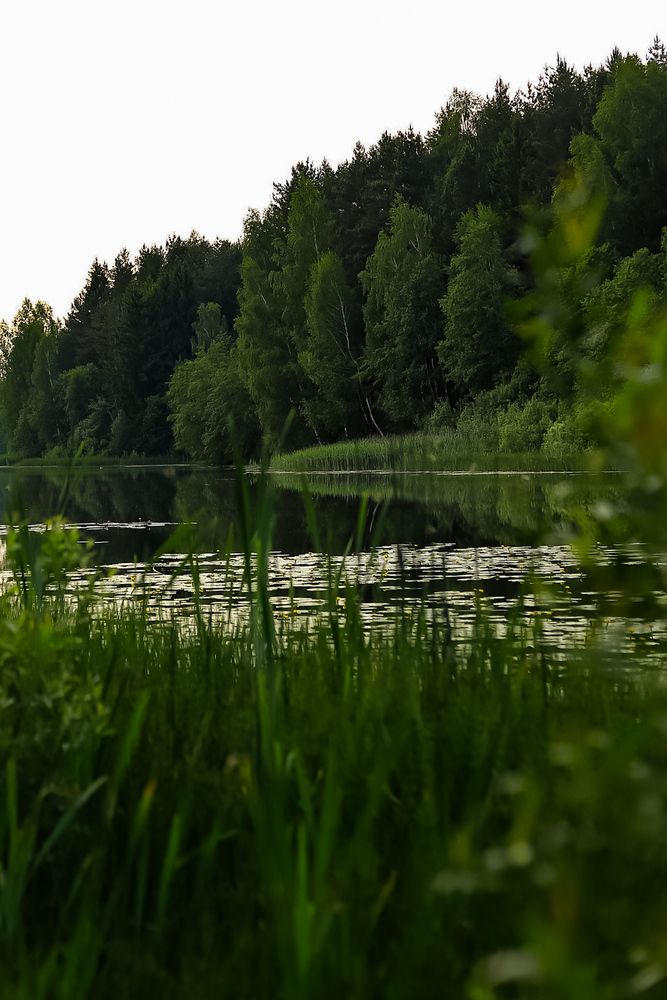 Photograph by Руслана Ковалевская