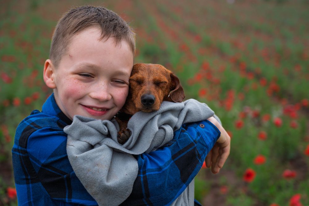 Photograph by Дьяченко Алёна