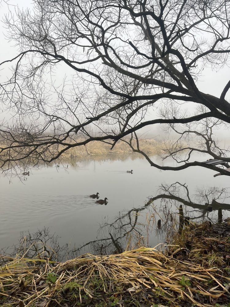 Photograph by Екатерина Сбитякова