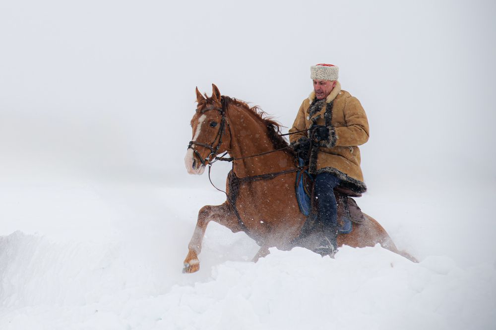 Photograph by Сергей Немцев